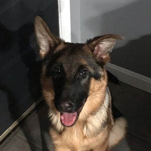 Meet your Posher, Colleen